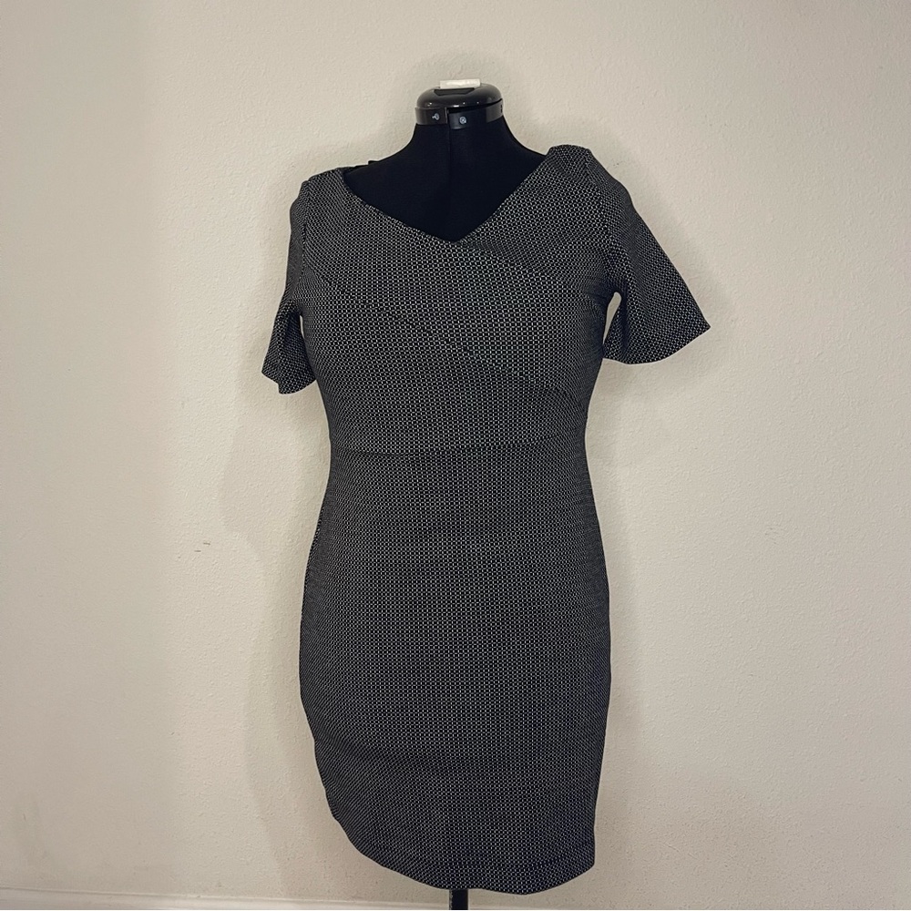 NWT Banana Republic Dress